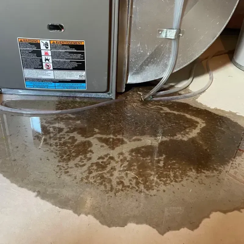 Appliance Leak Cleanup in San Antonio, FL